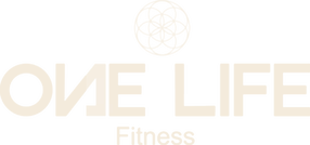 One Life Fitness
